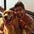 Andre Tavares's profile image