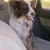 Karen Croninger Faber's profile image