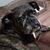 Ginny Hedges's profile image