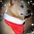 Jen Tetkoskie's profile image