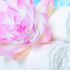 Melinda b.'s profile image