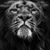 Mike Coats's profile image