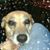 Ruthie Floraine Potts's profile image