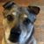 Susie Van Buskirk's profile image