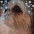 Linda Meyer-Sampson's profile image