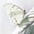 Kathy Rodriguez's profile image