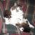 Mark Spaeth's profile image