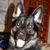 Kristine Pesta's profile image
