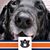 Brenda Folsom Higgins's profile image