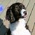 Ginger Lee Hill's profile image