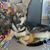 Ruth Mohr's profile image
