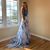Lisa Furland Wirth's profile image