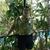 Rodney Klinger's profile image