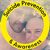 Andrea Rainey's profile image
