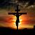 Luz Gilmore Carter's profile image