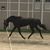 Maggie Audley's profile image