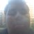 Bryan Cruz's profile image
