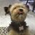 Tracy Adams's profile image