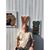 Laurie Johnson Swensen's profile image