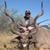 Scott Lease's profile image