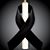 Alma Lopez's profile image