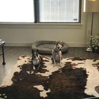 Candace Lund Juracek's profile image