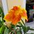 Linda Stewart Ronaldson's profile image