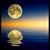 Yvonne Navarro's profile image