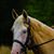 Valerie Carkhuff's profile image