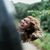Annelise Jurado Caguitla's profile image