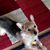 Pam Costa's profile image