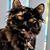 Clawdia Mandt's profile image