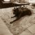 Crystal Schillo's profile image