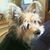 Linda Flinkman's profile image