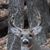 Mark Clanderman's profile image