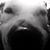 Kristi Simmons Graham's profile image