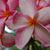 Karen Bussard's profile image