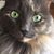 Lesa Mouton's profile image