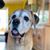 Ann D'Alesio's profile image