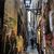 Karen Olson Ryan's profile image