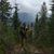 Chris Huggett's profile image