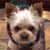 Steven Partlow's profile image