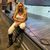 Yohaira Cordero's profile image