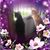 April C. Tremblay's profile image