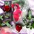 Yoandra Andy Fuentes's profile image
