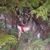 Martina Steppan-kindji's profile image