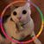 Tami Rushing's profile image