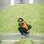 Evan Gibson Loewy's profile image