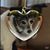Nancy Kempke- Dirschel's profile image