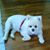 Ken Stanislav's profile image